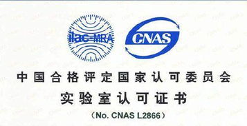 CNAS認可的專業咨詢單位機構在軟件開發領域的作用