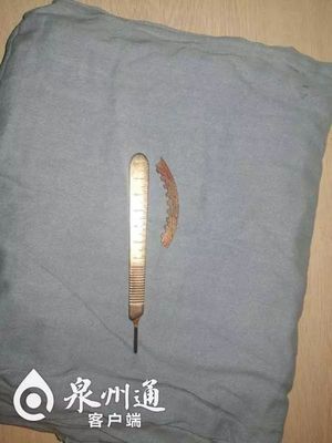 飛來的致命鋸齒 工廠切割機(jī)意外引發(fā)的安全警鐘
